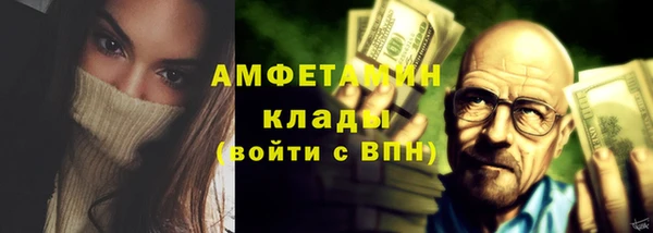 дживик Няндома