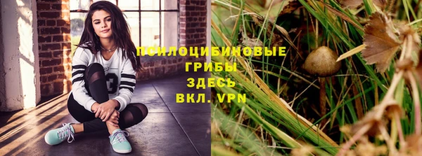 дживик Няндома
