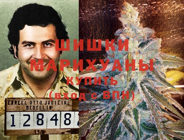 дживик Няндома