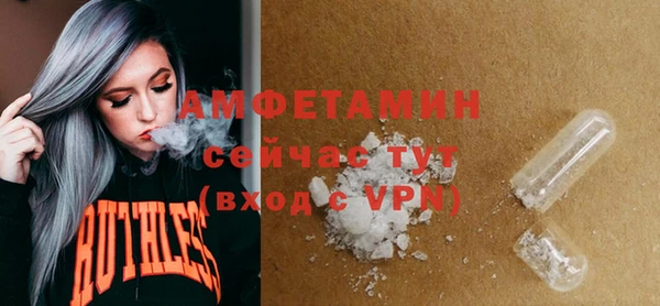 дживик Няндома