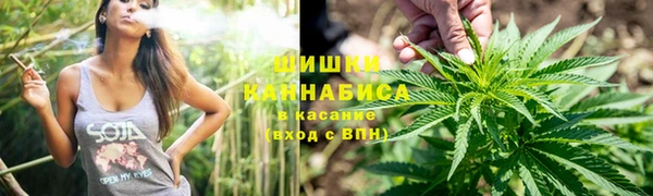 дживик Няндома