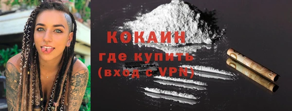 дживик Няндома