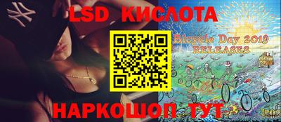 прущие грибы Будённовск