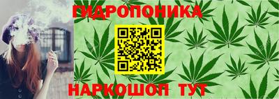 гидропоника Бузулук