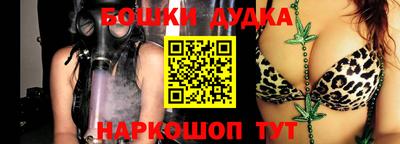прущие грибы Будённовск