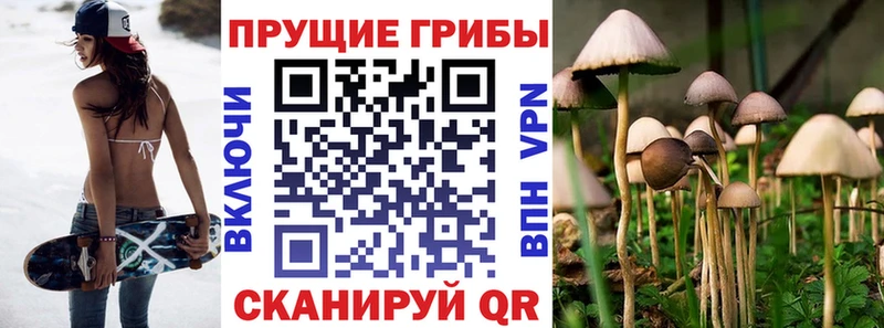 Псилоцибиновые грибы Magic Shrooms  Ртищево 