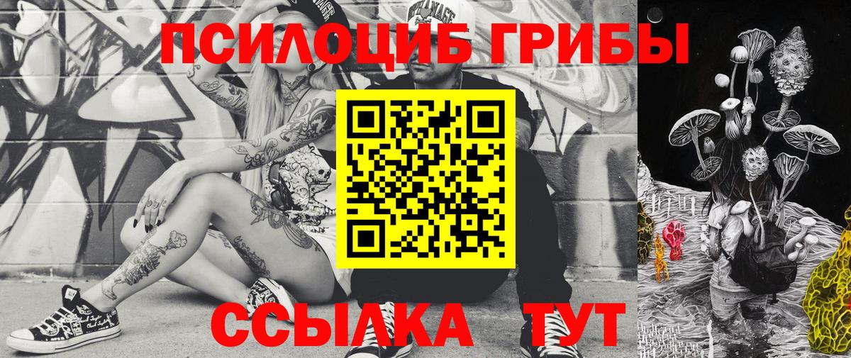 Ртищево  Псилоцибиновые грибы прущие грибы  как найти закладки  Вход с VPN 