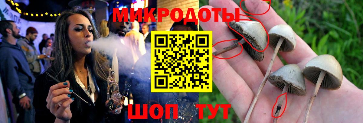 Галлюциногенные грибы Magic Shrooms  Ртищево 